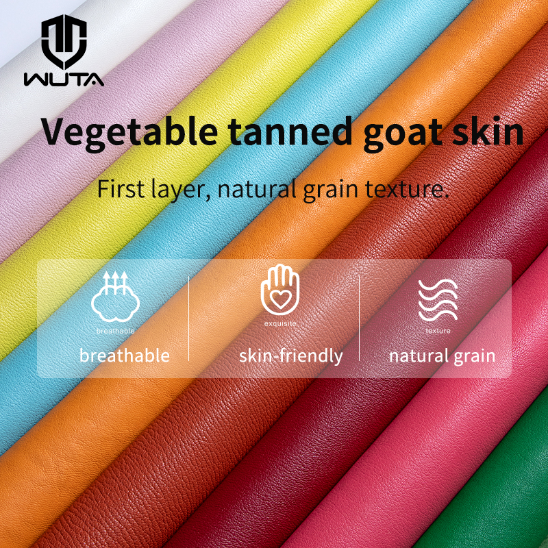 WUTA 6-15 square feet Vegetabl - مراجعة Art And Craft Vegetable وسعره